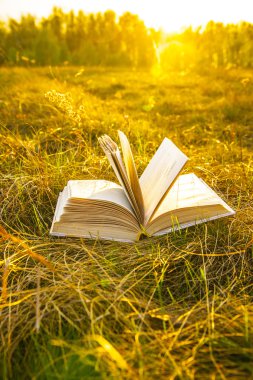 sonbahar alanında açık kitap 