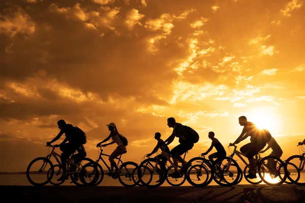 Amigos de la compañía deportiva en bicicletas —  Fotos de Stock