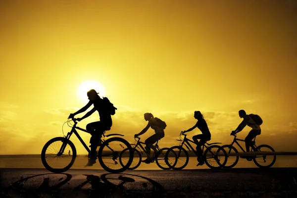 Sportief bedrijf vrienden op de fiets — Stockfoto
