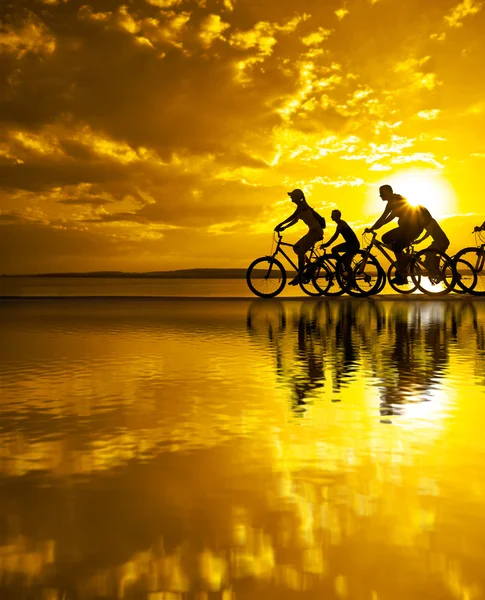 Sporty company friends on bicycles — Stock Photo, Image