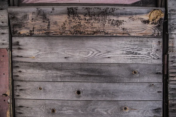 Natural wooden door texture — Stock Photo, Image