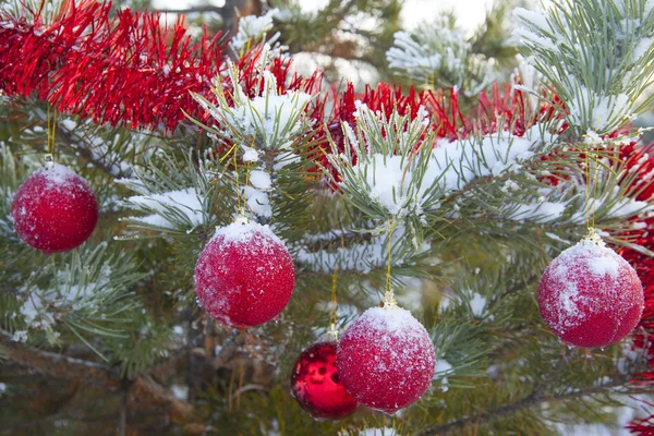 Christmas  tree with  frost toys — Stock Photo, Image