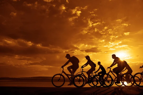 Sportliche Firmenfreunde auf Fahrrädern — Stockfoto