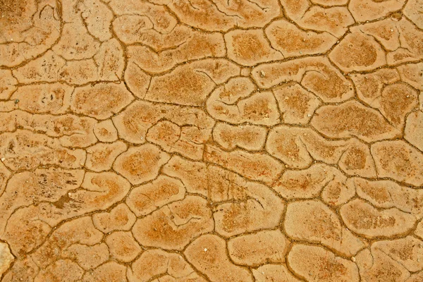 Расколотая земля в сухой пустыне — стоковое фото