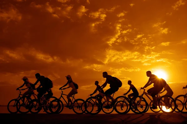 Sporty company friends on bicycles — Stock Photo, Image