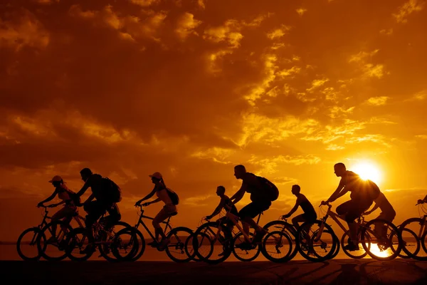 Amigos da empresa desportiva em bicicletas — Fotografia de Stock