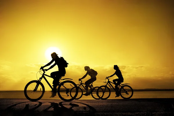 Amici sportivi dell'azienda in bicicletta — Foto Stock