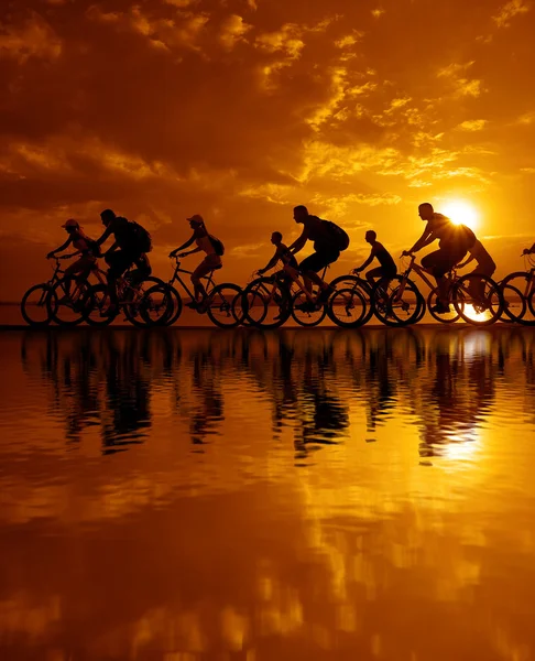 Спортивные друзья компании на велосипедах — стоковое фото