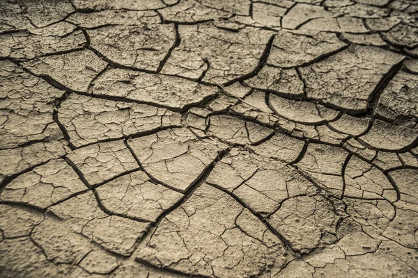 Gebarsten aarde in droge woestijn — Stockfoto