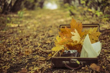  fotoğraf makinesi ile Vintage durumda bırakır