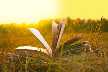 sonbahar alanında açık kitap 