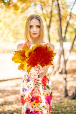 Sevimli kız akçaağaç yaprakları holding 