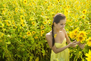 kadın holding ayçiçeği 