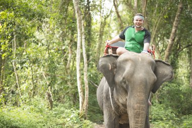  Turizm Tayland jungle binen. Chiang mai, yeşil yaz ormandaki yabani bir hayvan adam 