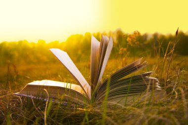 sonbahar alanında açık kitap 