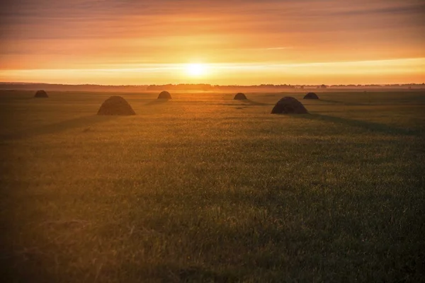 Strohballen auf der Herbstwiese — Stockfoto