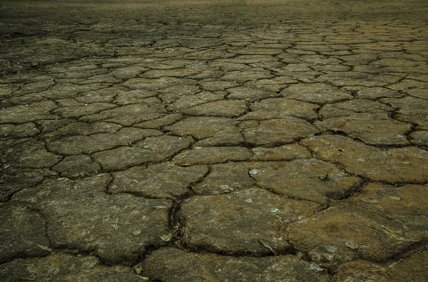 Gebarsten grond achtergrond — Stockfoto