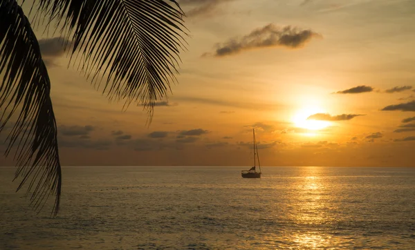 Vacker solnedgång på stranden. — Stockfoto