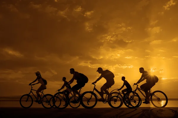 Sporty company of  friends on bicycles — Stock Photo, Image