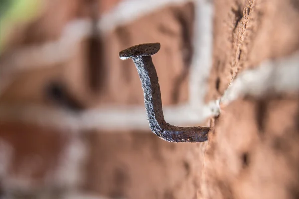 Roestige spijker op bakstenen muur — Stockfoto