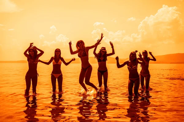 Zobrazit Skupinu Přátel Baví Tropické Pláži Létě Letní Čas — Stock fotografie