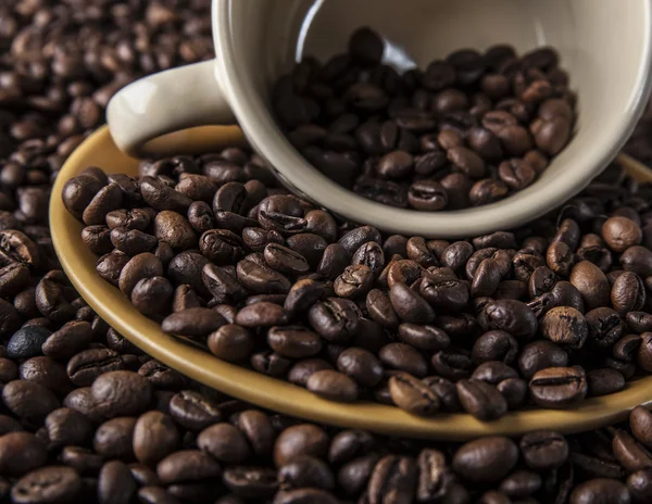 コーヒー豆の完全なマグカップ. — ストック写真
