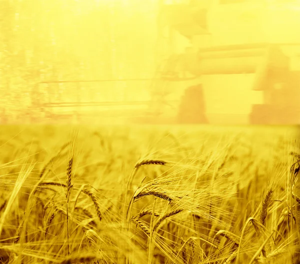 Harvesting machine on wheat field — Stock Photo, Image