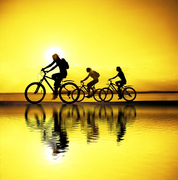 Companhia esportiva de amigos em bicicletas — Fotografia de Stock