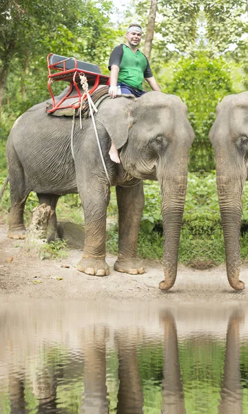 Toeristische Jungle Tocht Thailand Man Een Wild Dier Groene Zomer — Stockfoto