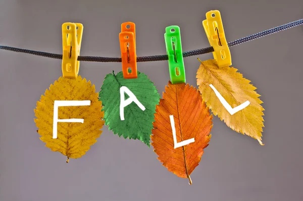 Kleurrijke herfstbladeren met Val inscriptie — Stockfoto