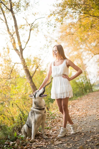 Mulher com cão no parque de outono . — Fotografia de Stock