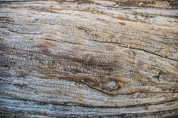 Stück braunes und graues Holz — Stockfoto