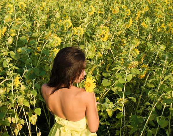 若い大人うれしそうなラテン系美女の肖像 wi — ストック写真