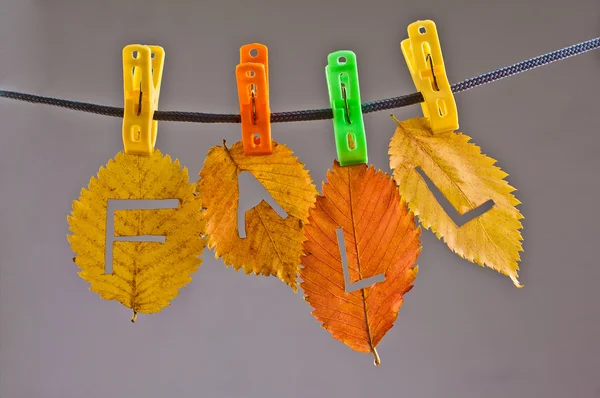 Folhas de outono coloridas com inscrição de queda — Fotografia de Stock