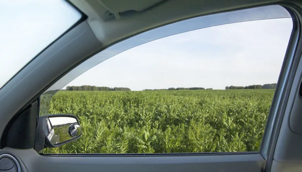 Blick aus dem Autofenster — Stockfoto