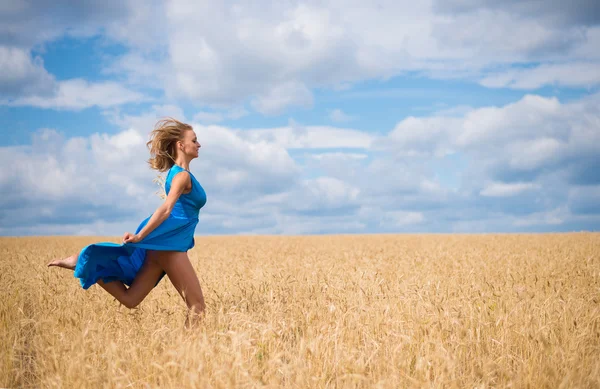 Portrait de romantique mince femme courir à travers champ de blé porter b — Photo