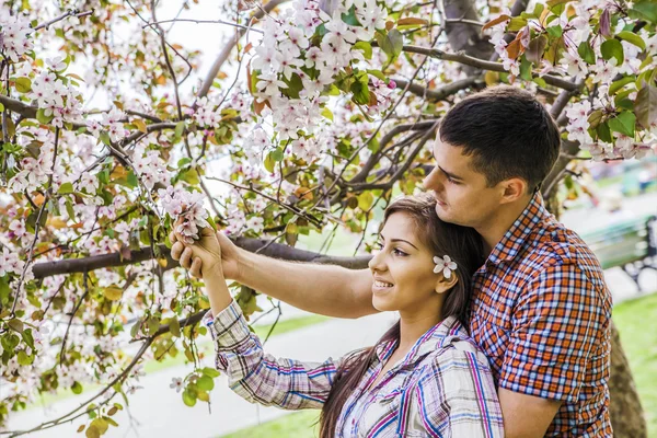 Young Beautiful Couple Embracing Spring Park Background Large Branches Apple — Stock Photo, Image