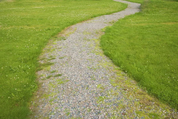 Pathway and fresh grass — Stock Photo, Image