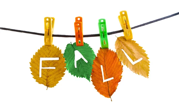 Folhas de outono coloridas com inscrição de queda — Fotografia de Stock