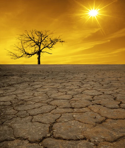 Terra secca nella Valle della Morte . — Foto Stock