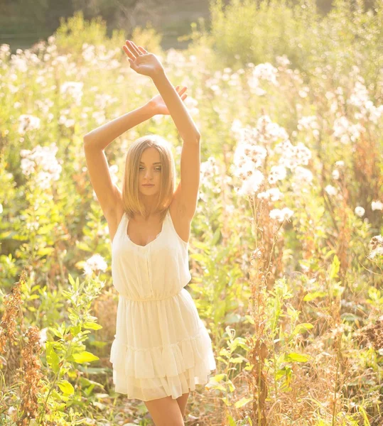 Menina posando no prado de verão . — Fotografia de Stock