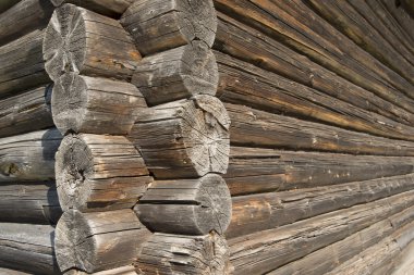  duvar tedavi çam günlükleri