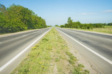 Bahar yeşil çim öldürülecek olan asfalt yol iki yönünü