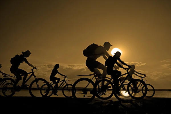 Sportliche Gesellschaft von Freunden auf Fahrrädern — Stockfoto