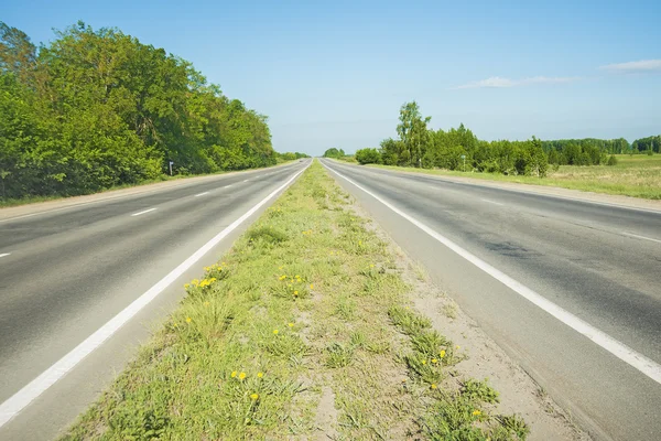 イエローの春の緑の草でアスファルトの道路の 2 つの方向 — ストック写真