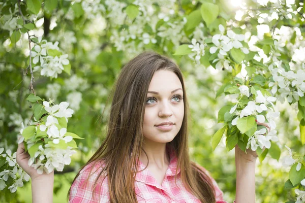 Woman standing near the apple tree — Stock Photo, Image