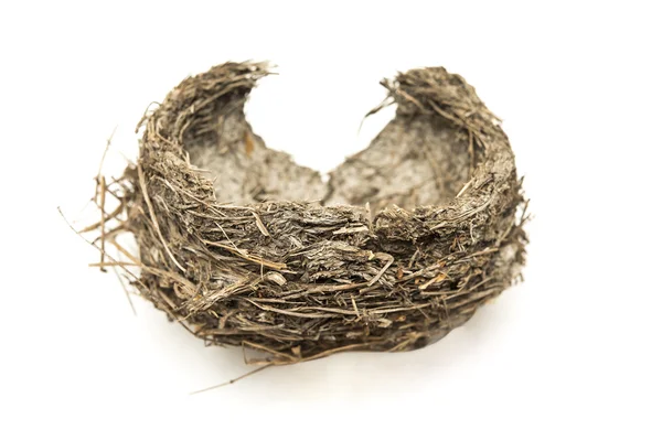 Empty bird nest — Stock Photo, Image