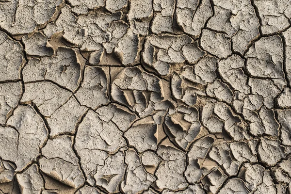 Fondo de tierra agrietado —  Fotos de Stock