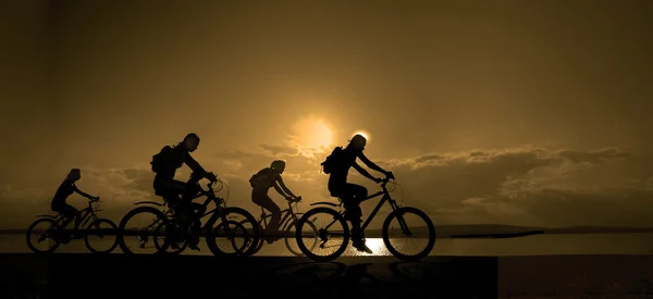 Sportliche Gesellschaft von Freunden auf Fahrrädern — Stockfoto