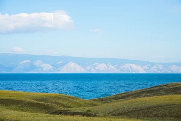 Prado de hierba soleado amarillo, agua — Foto de Stock